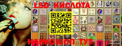 дмт Новокубанск