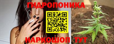 мет Новозыбков
