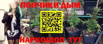 мет Новозыбков