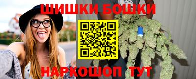 мет Новозыбков