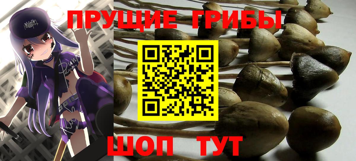 Альметьевск  Псилоцибиновые грибы ЛСД  Вход с VPN 